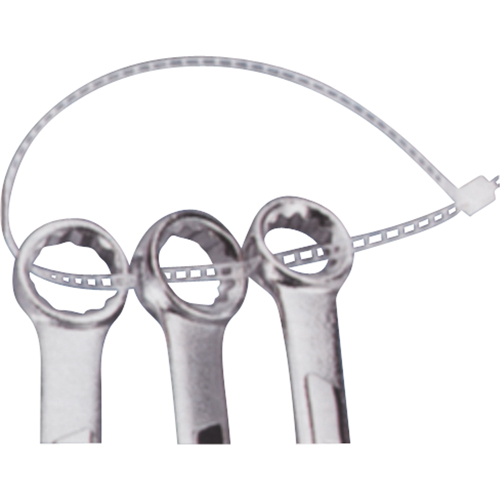 Ladder Ties, 7" Long, 40 lbs. Tensile Strength, Natural Infinity Industrial Services Inc.