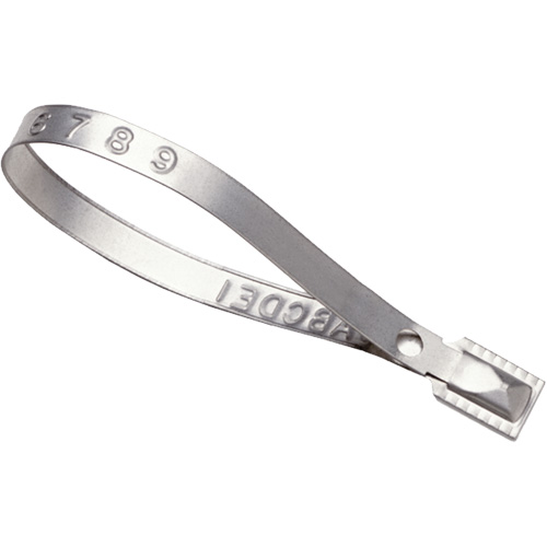 Scell&eacute;s Guard Lock, 8-3/8", M&eacute;tal, Scell&eacute; pour camion Infinity Industrial Services Inc.