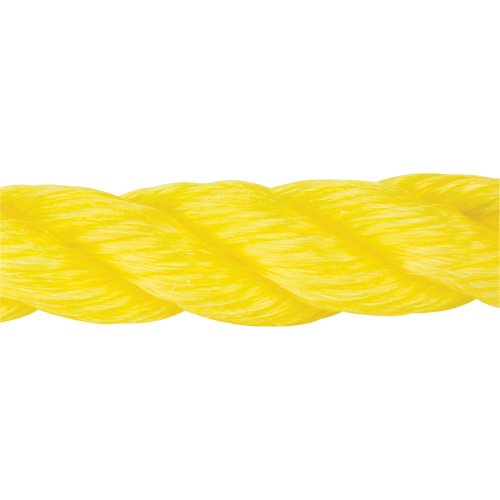 Corde jaune tress&eacute;e, Polypropyl&egrave;ne, 300' Infinity Industrial Services Inc.
