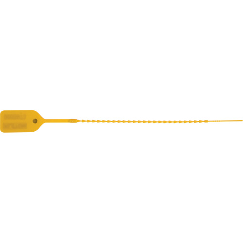 Scell&eacute; de s&eacute;curit&eacute; standard, 9", Plastique, Pousser et tirer Infinity Industrial Services Inc.