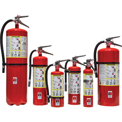 Extincteur d'incendie, ABC, Capacit&eacute; 5 lb Infinity Industrial Services Inc.