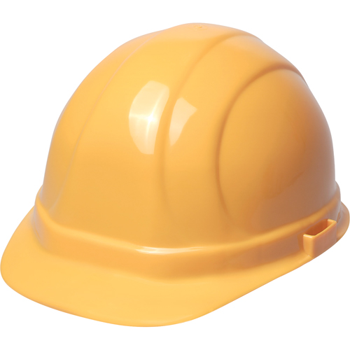 ERB Casque de s&eacute;curit&eacute; Omega II, R&eacute;pond aux normes CSA type 2, Suspension Rochet, Non ventil&eacute; Infinity Industrial Services Inc.