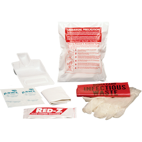 Fluid Spill Clean-Up Kit, Hazmat, Bag Infinity Industrial Services Inc.