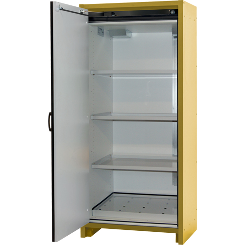 Armoire d'entreposage 30 minutes s&eacute;curitaire et conforme &agrave; la norme EN, 30 gal., 1 Porte(s), 34,02" La x 76,65" h x 24,21" p Infinity Industrial Services Inc.
