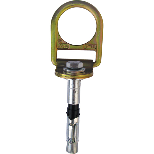 PRO Concrete D-ring Anchor with Bolt, Concrete/D-Ring, Permanent Use Infinity Industrial Services Inc.