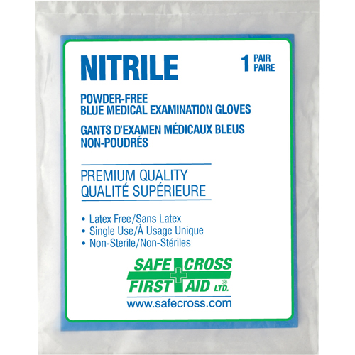 Medical Examination Gloves, Large, Nitrile, 5-mil, Powder-Free, Clear, Class 2 Infinity Industrial Services Inc.