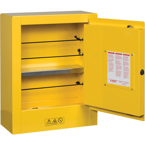 Mini-armoires de s&eacute;curit&eacute; Sure-Grip EX pour produits inflammables, 2 gal., 1 Porte(s), 17" La x 22" h x 8" p Infinity Industrial Services Inc.