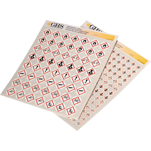 Assortiment d'&eacute;tiquettes avec pictogrammes sgh, Vinyle, Feuille, 1" lo x 1" la Infinity Industrial Services Inc.