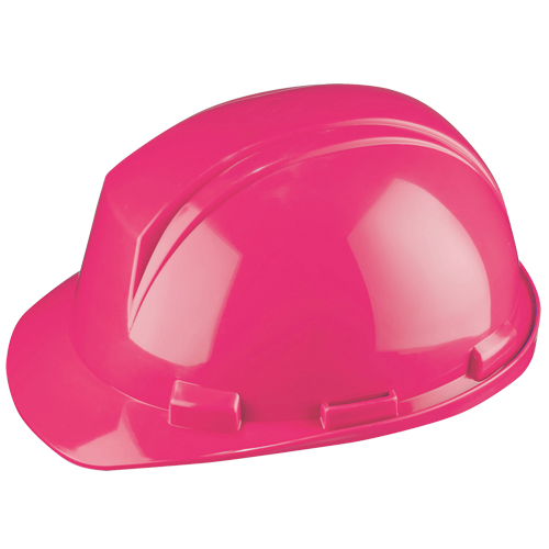 Dynamic Mont-Blanc Hardhat, Meets CSA Type 2, Pinlock Suspension, Non-Vented Infinity Industrial Services Inc.