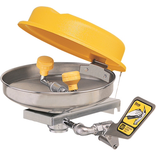 Eyewash Station, Wall-Mount Installation, Stainless Steel Bowl Infinity Industrial Services Inc.