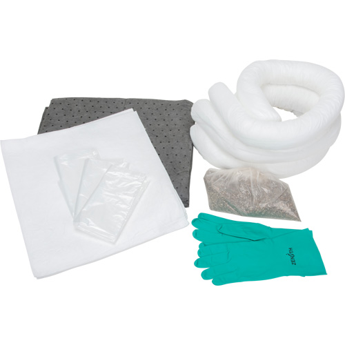 Trousse d'&eacute;quipement de lutte contre les d&eacute;versements, Huile seulement/Universel, Sac, Absorbance de 10 gal. US Infinity Industrial Services Inc.