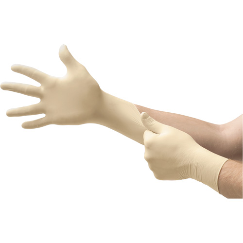 Gants d'examen Diamond Grip, 2T-Grand, Latex, 8 mils, Sans poudre, Jaune, Classe 2 Infinity Industrial Services Inc.