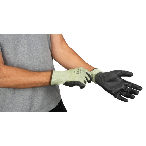 Gants &eacute;lastiques &eacute;cologiques sans coutures r&eacute;sistants &agrave; la coupe, Taille 8, Calibre 13, Rev&ecirc;tement Polyur&eacute;thane, Enveloppe en PEHP/rPET, ASTM ANSI niveau A4 Infinity Industrial Services Inc.
