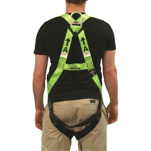 FBH-10000L Contractor Series Safety Harness, CSA Certified, Class AL, 400 lbs. Cap. Infinity Industrial Services Inc.