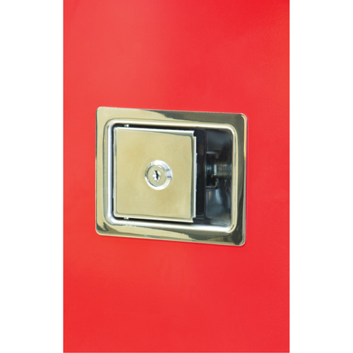 Heavy-Duty Outdoor Fire Extinguisher Cabinet, 14" W x 28" H x 10" D Infinity Industrial Services Inc.