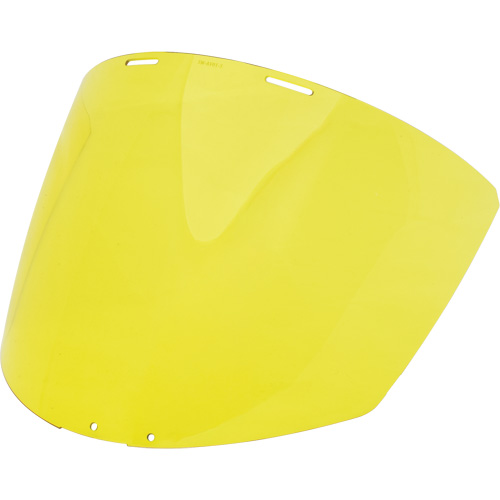 Yellow Visor Infinity Industrial Services Inc.