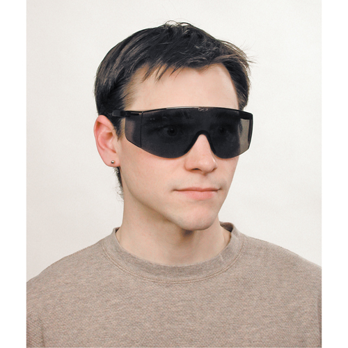 Lunettes de s&eacute;curit&eacute; Tacoma, Lentille Grise/fum&eacute;e, Anti-&eacute;gratignures, ANSI Z87+ Infinity Industrial Services Inc.