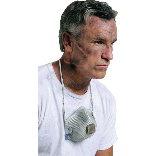 Respirateurs  contre les particules 2700, N95, Certifi&eacute; NIOSH, Grand/Moyen Infinity Industrial Services Inc.