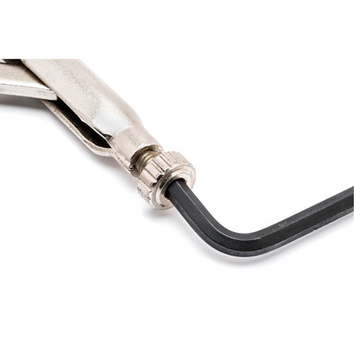 Locking Chain Clamp with Chain Infinity Industrial Services Inc.