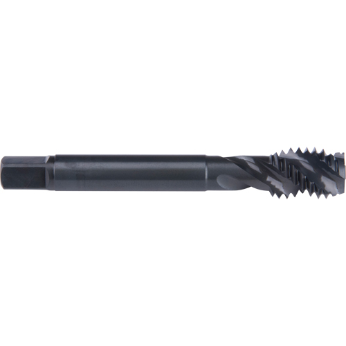 45° Spiral Flute Tap, High Speed Cobalt, 10-32 Thread, 2-3/8" L Infinity Industrial Services Inc.