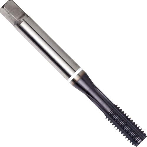 White Shark Straight Flute Tap, High Speed Cobalt, 3/4"-16 Thread Infinity Industrial Services Inc.