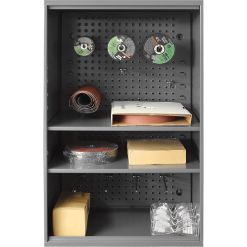 Abrasive Storage Cabinet with Pegboard, Steel, 19-7/8" x 14-1/4" x 32-3/4", Grey Infinity Industrial Services Inc.