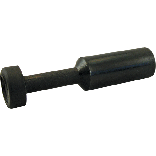 BOUCHON P.T.C. Infinity Industrial Services Inc.