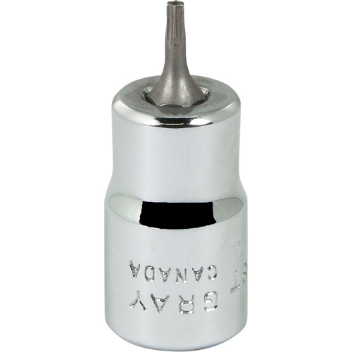 Douille &agrave; embout, Torx, T8 x 2-1/8" lo, Prise 3/8" Infinity Industrial Services Inc.