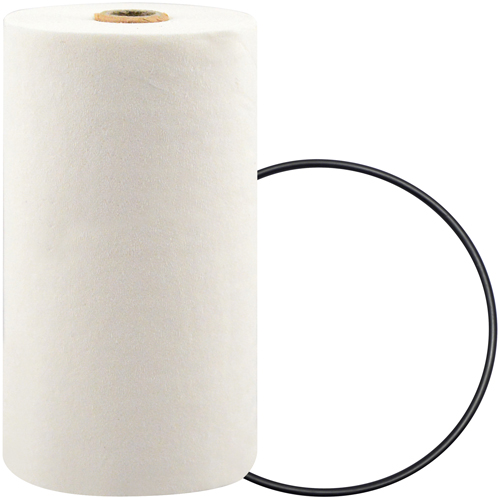 P7247 Spin-On Coolant Filter with BTE Formula Infinity Industrial Services Inc.