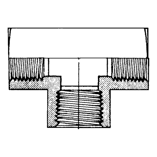Female Pipe Tees, Brass, 1/8" Infinity Industrial Services Inc.