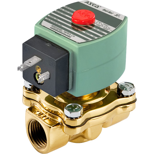 Solenoid Valve, 1/2" Pipe, 150 PSI Infinity Industrial Services Inc.