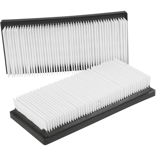 Filtres plats principaux, Cartouche, Pour 12 gal. US Infinity Industrial Services Inc.