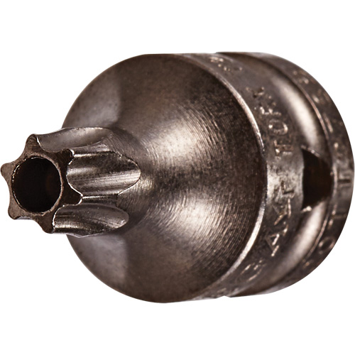 Socket Bit, Torx&reg; Tamper, 8 x 3/4" L, 1/4" Drive Infinity Industrial Services Inc.