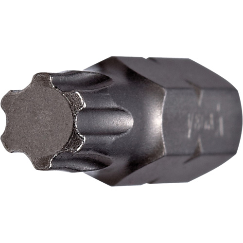 Insert Bit, Torxplus&reg;, 25, 1/4" Drive Infinity Industrial Services Inc.