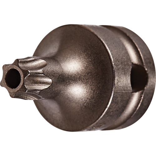Socket Bit, Torx&reg; Tamper, 25 x 1" L, 3/8" Drive Infinity Industrial Services Inc.