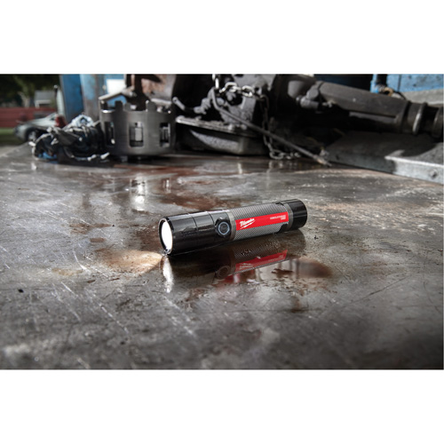 Lampe de poche compacte compatible USB, DEL, 800 lumens, Piles Rechargeable Infinity Industrial Services Inc.