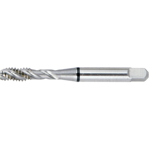 Drillco&reg; Spiral Flute Super High Performance BT Tap, High Speed Steel, 12-24 Thread Infinity Industrial Services Inc.