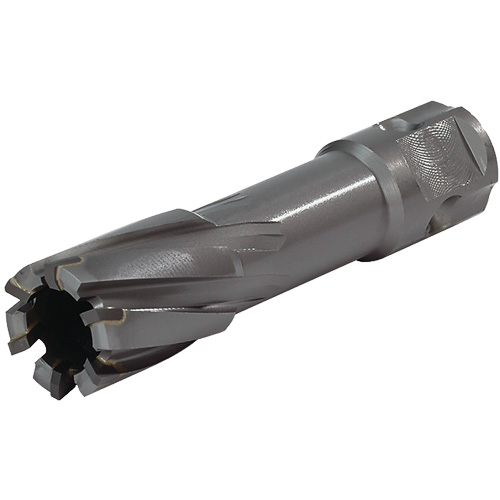Universal Shank Annular Cutter, 1/2" Diameter, Carbide, 2" Depth of Cut, 3/4" Shank Infinity Industrial Services Inc.