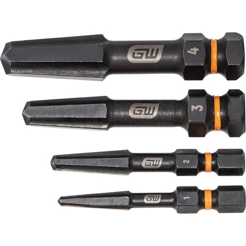 Bolt Biter Screw Extractor Set, High Speed Steel, 4 Pieces Infinity Industrial Services Inc.