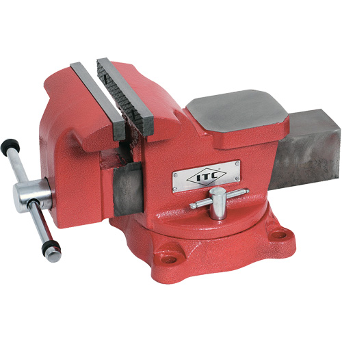Mechanic's Vise, 6" Jaw Width, 3" Throat Depth Infinity Industrial Services Inc.