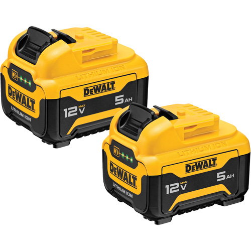 Bloc-piles Max*, Lithium-ion, 12 V, 5 Ah Infinity Industrial Services Inc.