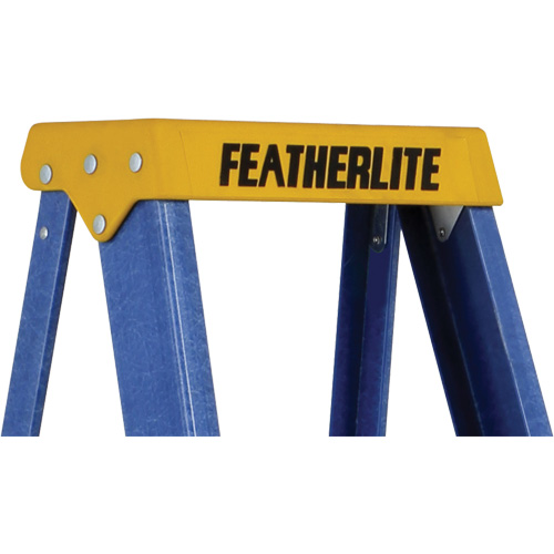 Escabeaux industriels (s&eacute;rie 6300), 4', Fibre de verre, Capacit&eacute; 250 lb, Type 1 Infinity Industrial Services Inc.