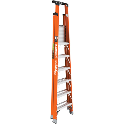 Escabeau avec plateforme Safespace, 6', Cap. De 300 lb Infinity Industrial Services Inc.