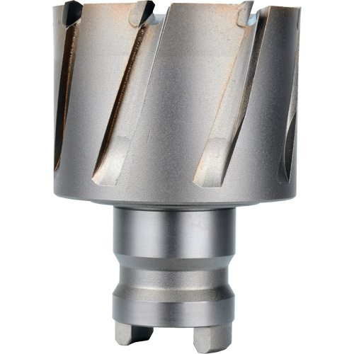 Quick Change Tang Drive Hawg&reg; Cutter, 2" Diameter, Steel, 1" Depth of Cut Infinity Industrial Services Inc.