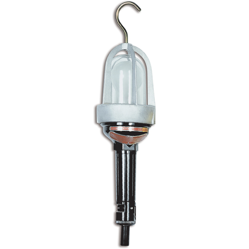 Baladeuses pour emplacements dangereux, DEL, 20 W, 2400 Lumens Infinity Industrial Services Inc.