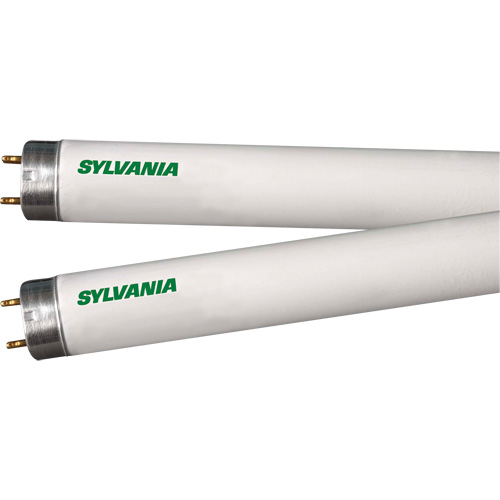 Lampes fluorescentes, 32 W, T8, 4100 K, Longueur de 48" Infinity Industrial Services Inc.