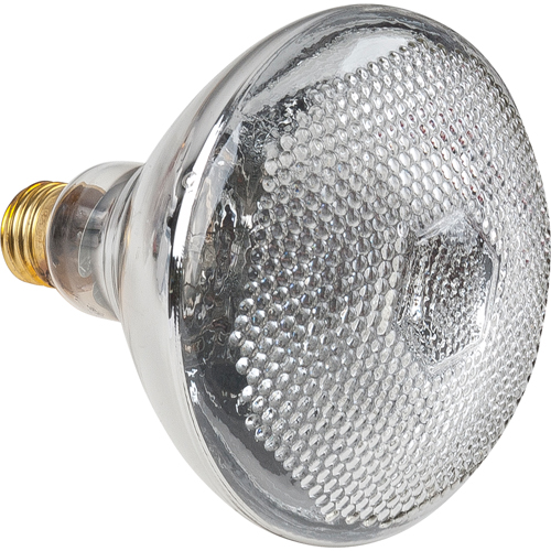 Economy Line Incandescent Lamps Infinity Industrial Services Inc.