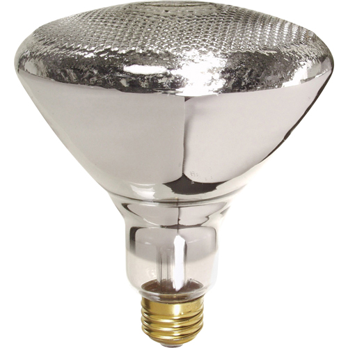 Economy Line Incandescent Lamps Infinity Industrial Services Inc.