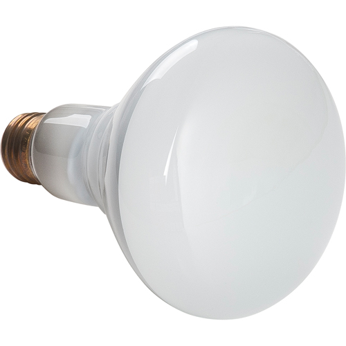 Economy Line Incandescent Lamps Infinity Industrial Services Inc.