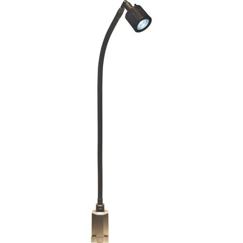 LS Series High-Output Flexible Light, 5 W, LED, 27" Neck, Black Infinity Industrial Services Inc.